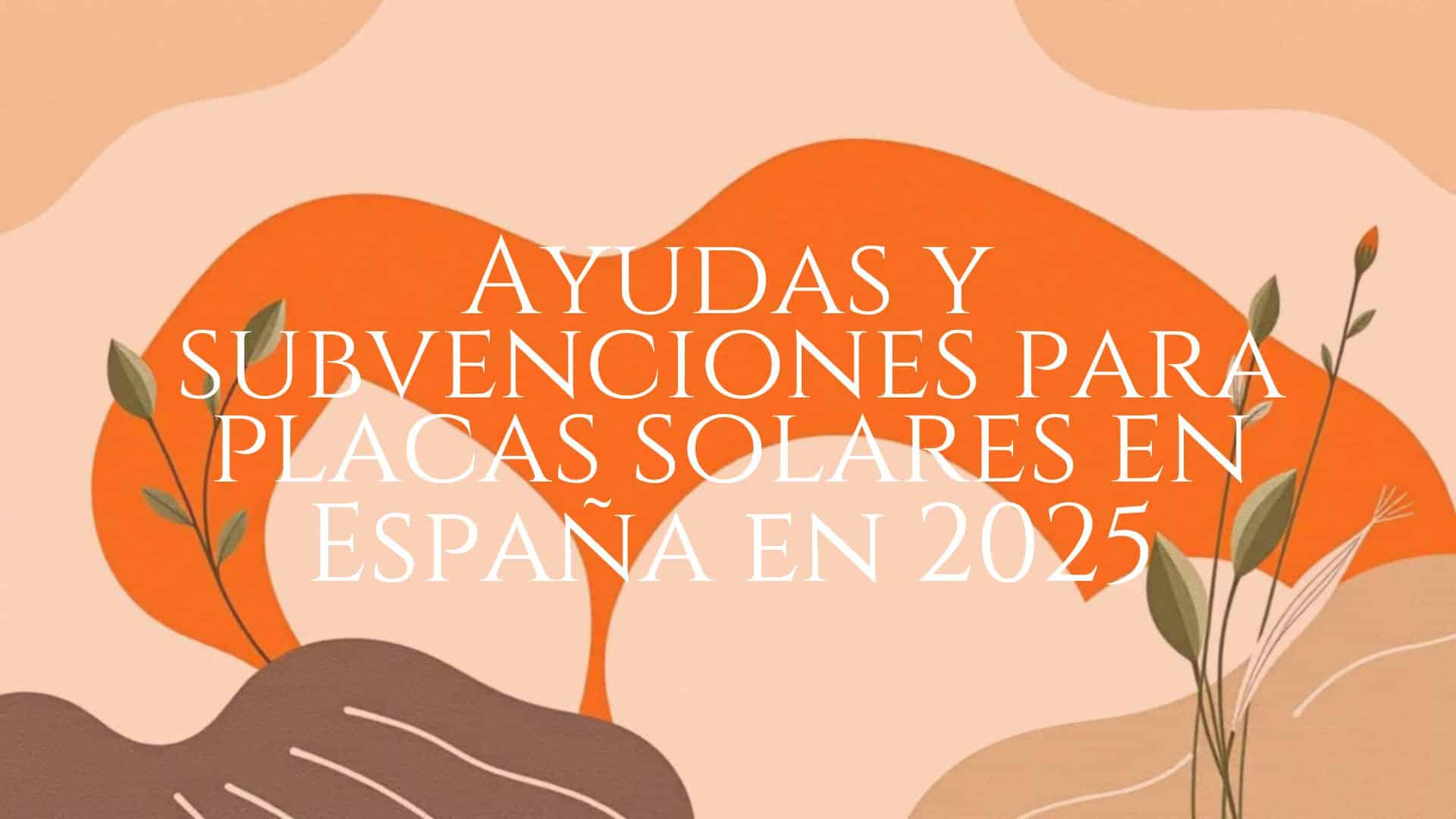 Ayudas y subvenciones para placas solares en España en 2025 - Vidadejardin