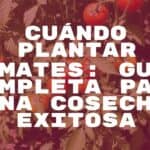 Fresh tomato plants growing in a sunny garden, spring season, vibrant green leaves, ripe red tomatoes, gardening gloves and tools nearby, warm sunlight, realistic.