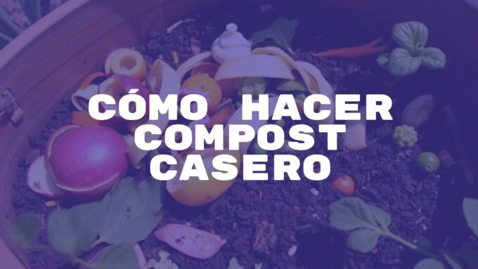 A thriving compost bin with organic waste like fruit peels and vegetable scraps, surrounded by fresh soil and worms, natural sunlight, eco-friendly vibe, realistic.