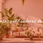 A vibrant indoor jungle with various air-purifying plants like snake plant, peace lily, and bamboo palm, clean modern living room, natural sunlight filtering through, realistic.