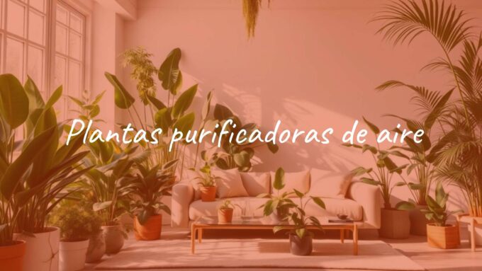 A vibrant indoor jungle with various air-purifying plants like snake plant, peace lily, and bamboo palm, clean modern living room, natural sunlight filtering through, realistic.